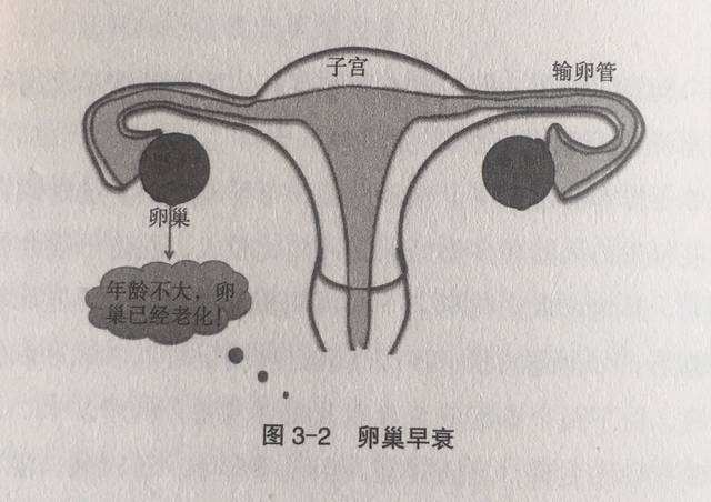 慈铭博鳌国际医院