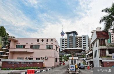 上海马来西亚同善医院第二代试管婴儿技术（ICSI）解析