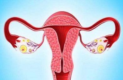 上海格鲁吉亚ReproArt诊所专家解释取卵后卵巢该如何保养？