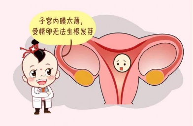 上海备孕试管婴儿知识_子宫内膜薄怎么调理